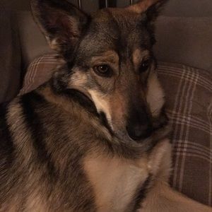 Meet your Posher, Rocio